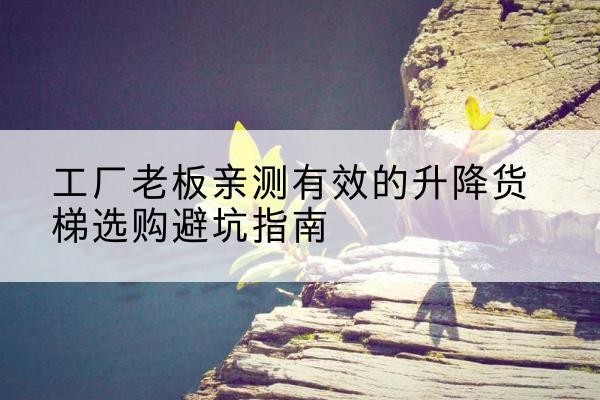博野升降货梯怎么选-工厂老板亲测有效的升降货梯选购避坑指南