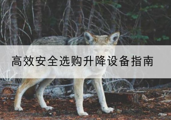 博野升降货梯厂家推荐-*安全选购升降设备指南