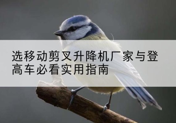 博野电动升降机厂家-选移动剪叉升降机厂家与登高车必看实用指南