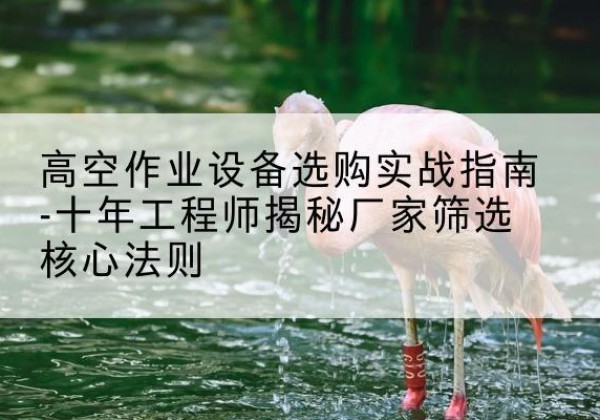 博野剪叉式升降机厂家-高空作业设备选购实战指南-十年工程师揭秘厂家筛选核心法则