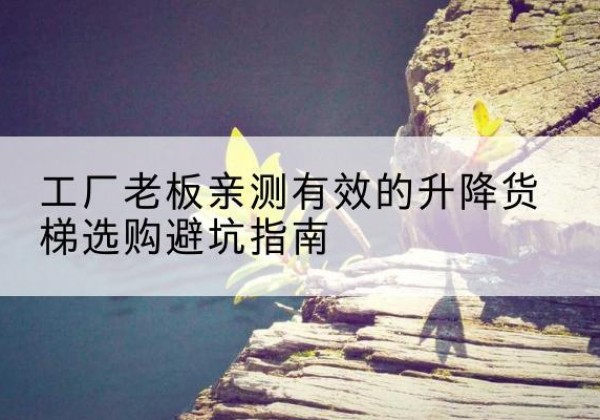 博野升降货梯怎么选-工厂老板亲测有效的升降货梯选购避坑指南